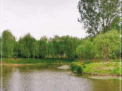 -东郊湿地公园