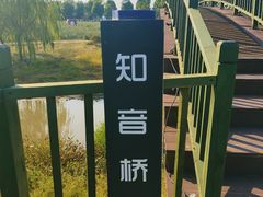 -花博汇(知音花月夜)