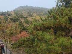 -北京十三陵国家森林公园蟒山景区