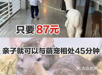87元就可以让宝宝与多种萌宠相处哦