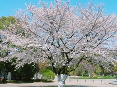 -阳澄湖费尔蒙酒店颐丰阁中餐厅(马鞍山西路店)