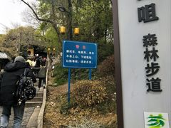 -灵岩山风景区