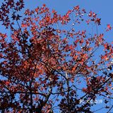 广州小众周边游——下溪村