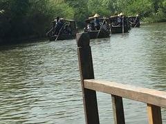 -溱湖国家湿地公园