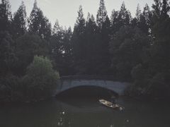 -东平国家森林公园