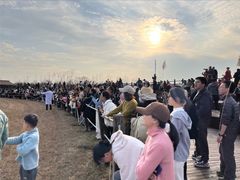 -盐城丹顶鹤湿地生态旅游区
