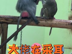 -太原动物园