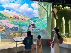-四川大学博物馆