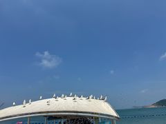 -海驴岛(荣成市)