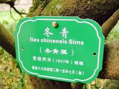 iphone_upload_pic-八大关景区
