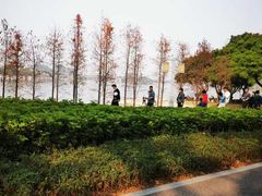 -顺峰山公园