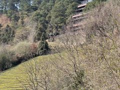 -敬亭山风景名胜区