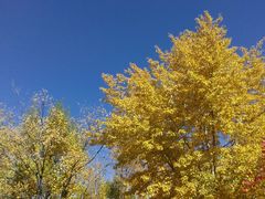 -乌素图国家森林公园