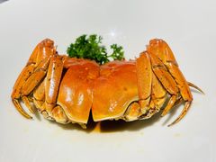 -绿波廊(豫园店)