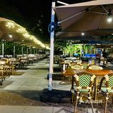 好久没来，依然是广州泰菜天花板