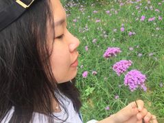 -大塘金香草谷