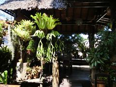 -自然餐厅(Phuket)