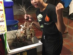 -Onion restaurant