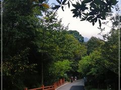 -广州市流溪河国家森林公园