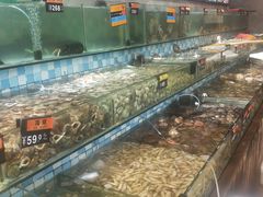 水产区-四海蒸鲜蒸汽海鲜自助(北戴河店)