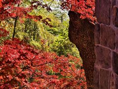 -莫干山风景区