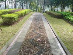 -重庆彩云湖湿地公园