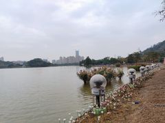 -顺峰山公园
