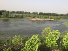 -东郊湿地公园