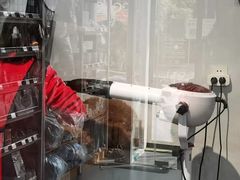 -PETKIT 小佩宠物·德文赛凯猫舍