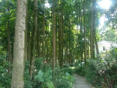 -广州市帽峰山景区
