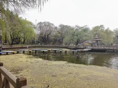 -沈阳南湖公园