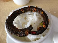 野生盘龙鳝-红色湘菜馆(春风店)