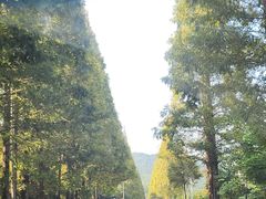 -东钱湖旅游度假区