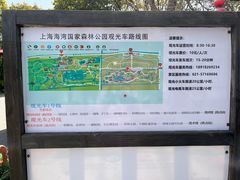 -上海海湾国家森林公园