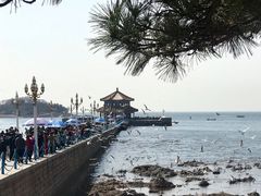 -栈桥景区