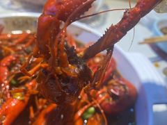 -堕落小龙虾(兰州旗舰店)