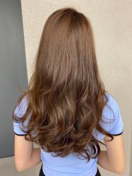 点击看大图 -金棕榈