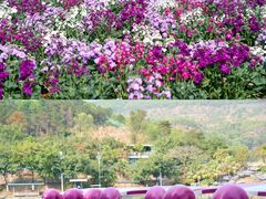 -盈香心动乐园