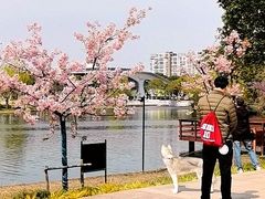 -新江湾城公园