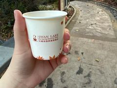 -英德宝晶宫天鹅湖茶语温泉