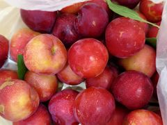 -云朵小院·石锅鱼·野生菌餐厅(蒗放店)