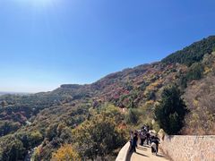 -北京西山国家森林公园