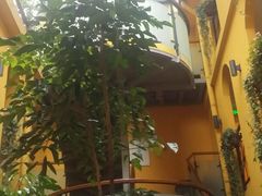 -柳湖小筑青年旅舍