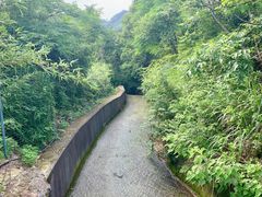 -帐篷客·溪龙茶谷度假酒店