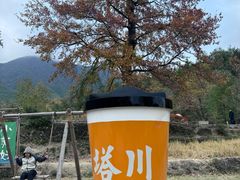 -塔川景区