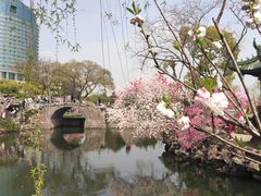 -无锡蠡湖国家湿地公园-蠡园