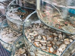 -仙螺岛海鲜自助餐厅(总店)