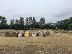 -嘉北郊野公园