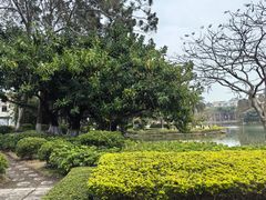 -厦门大学(思明校区)