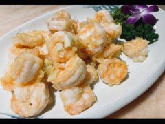 -伊兰津范儿